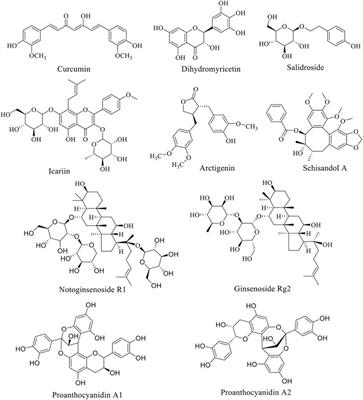 PI3K/AKT Signal Pathway: A Target of Natural Products in the Prevention and Treatment of Alzheimer’s Disease and Parkinson’s Disease